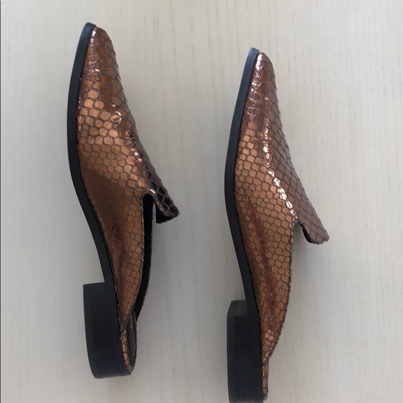 Shellys Flats - Picture 4 of 4